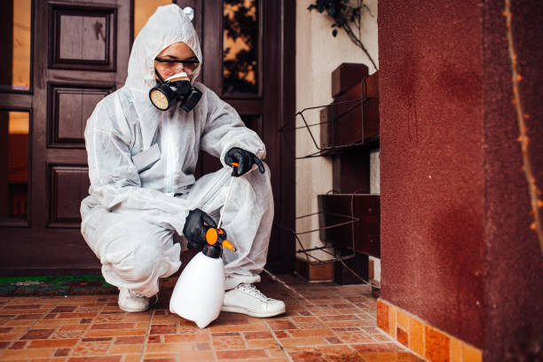 Reliable Mosquito Control contractor in Poquonock Bridge, CT by Show Me Pest Control